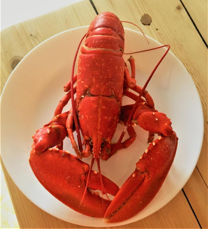 St Awaries Studio, Carne Rosslare Harbour Ngoại thất bức ảnh