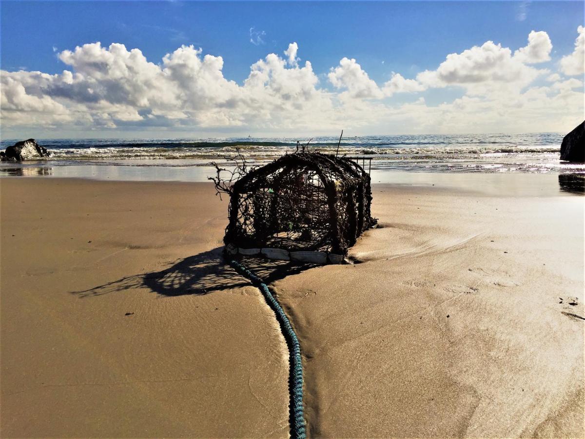 St Awaries Studio, Carne Rosslare Harbour Ngoại thất bức ảnh