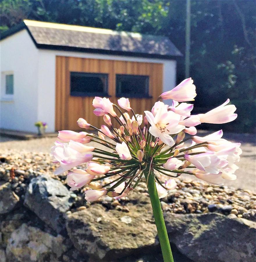 St Awaries Studio, Carne Rosslare Harbour Ngoại thất bức ảnh