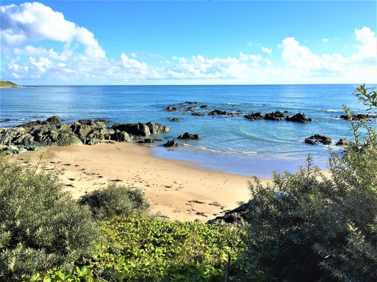 St Awaries Studio, Carne Rosslare Harbour Ngoại thất bức ảnh